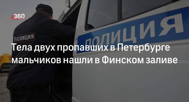 «Фонтанка»: тела двух потерявшихся в Петербурге мальчиков нашли в Финском заливе