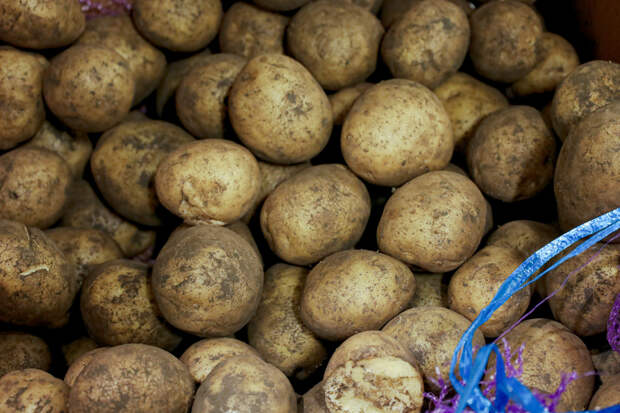 Вывоз картофеля из России взлетел