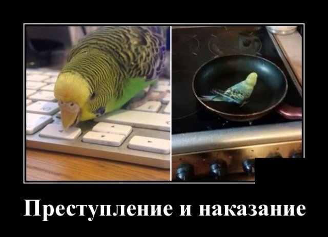 www.vsyako.net
