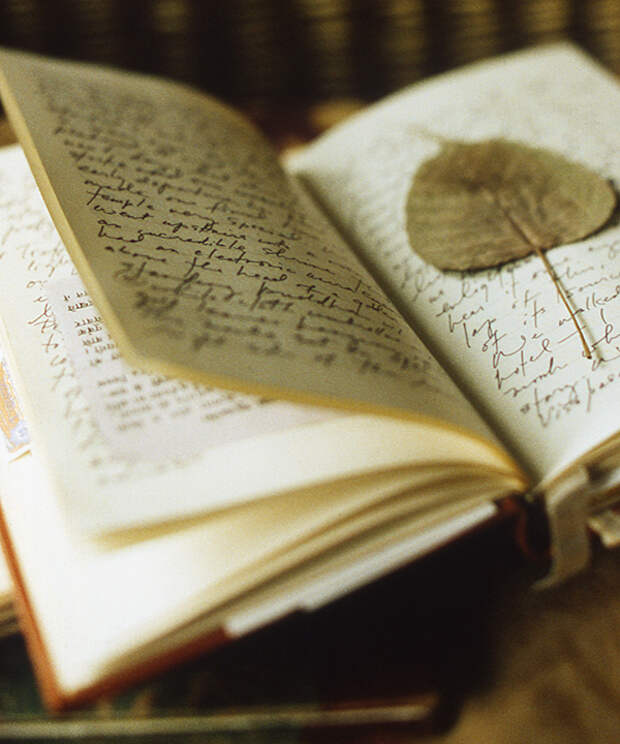14 journal. Дневники знаменитых людей. Дневники великих людей. Дневник на Великий. Дневники известных людей.