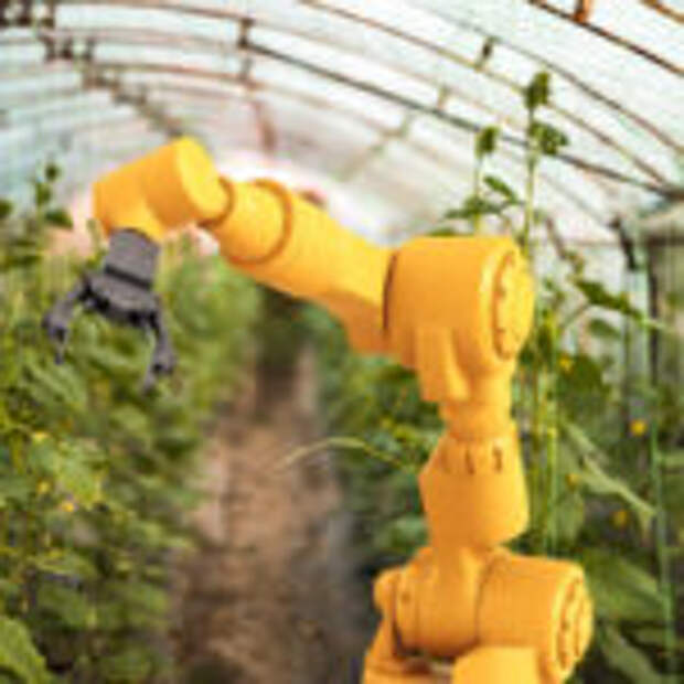 Топ-10 стартапов робототехники