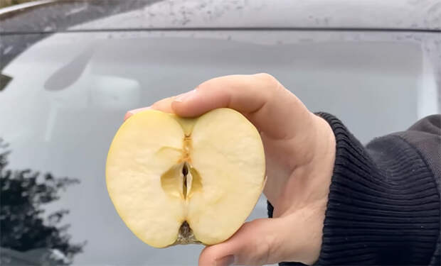 Дальнобойщик из Канады показал уловку с яблоком для лобового стекла: помогает, когда идет дождь