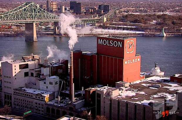 Molson-Coors