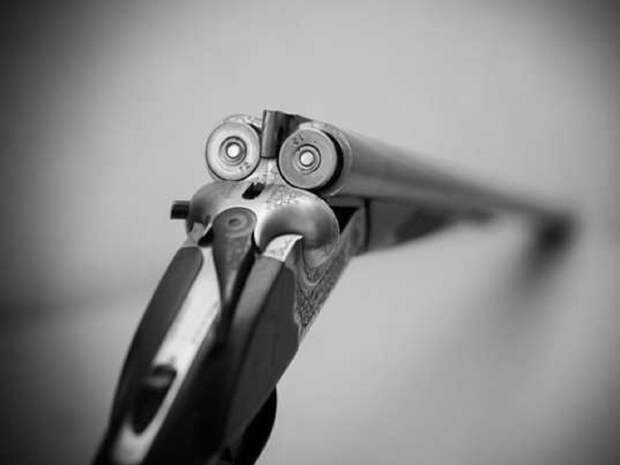 Рысь погибла после ночного нападения на жительницу Челябинской области