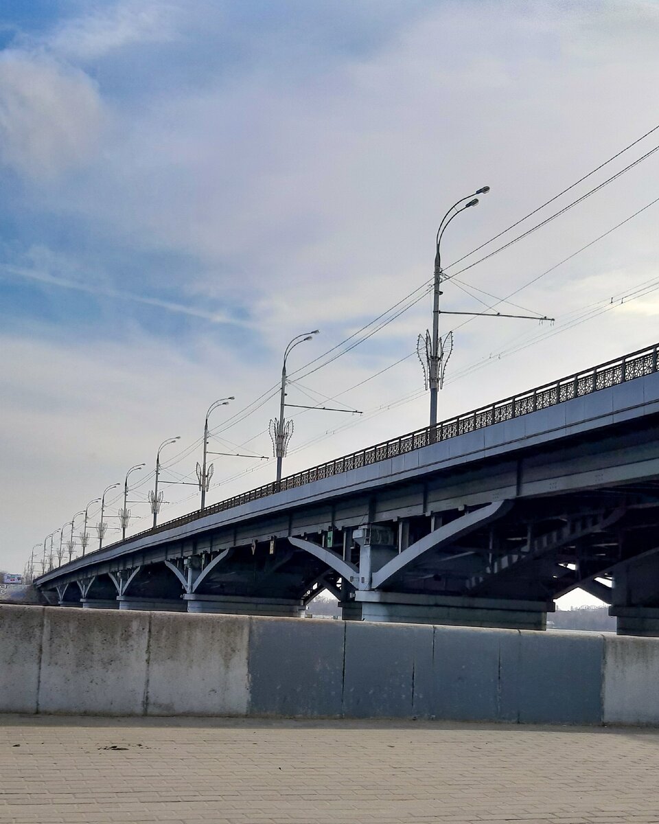 Переезд-многоходовочка. Из Хабаровска до Крыма за 2 недели. С 2мя котами.