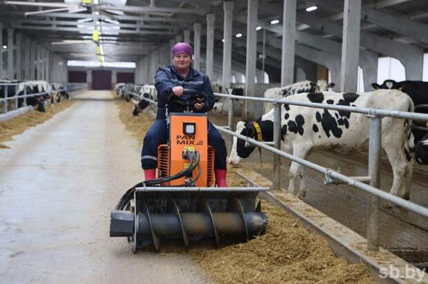 Три новых молочно-товарных комплекса в Могилевской и Брестской областях позволят прирасти по молоку.