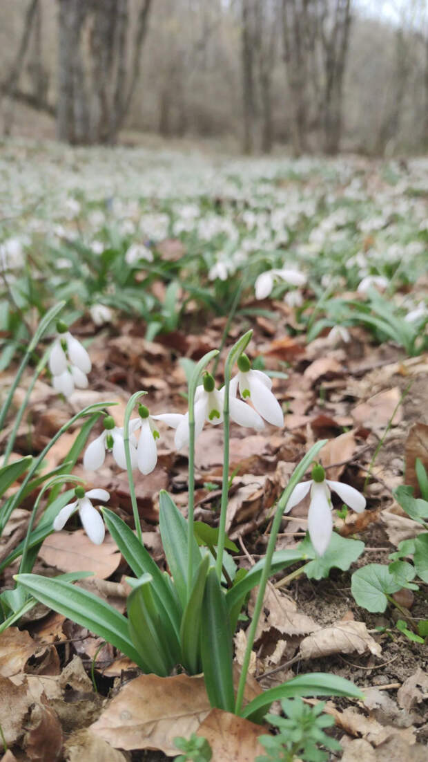 Доброе утро! :)