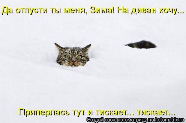 Мысли вслух :)