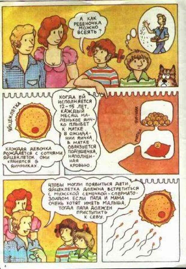deti_12 deti_12