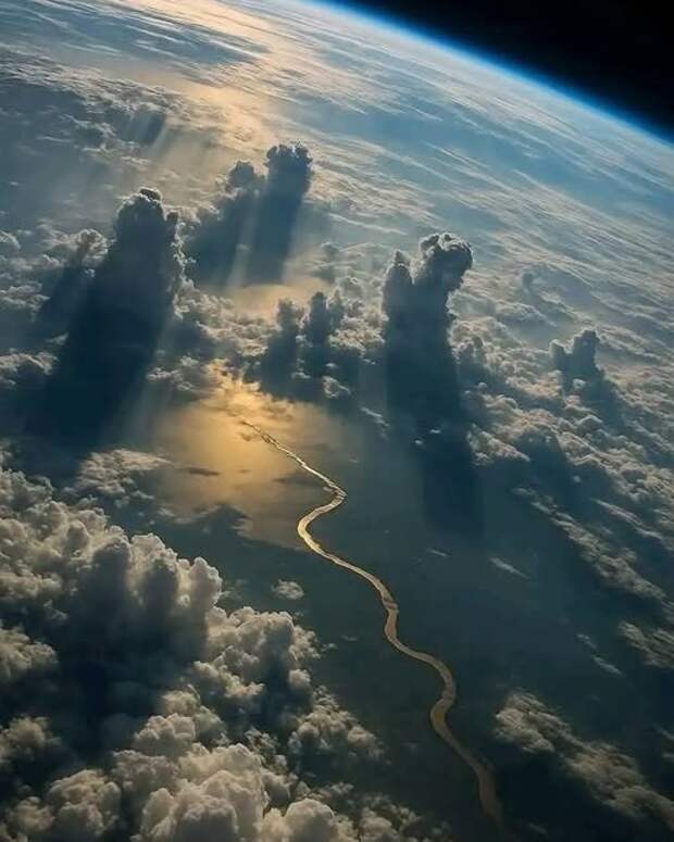 Амазонка – самая полноводная река в мире.