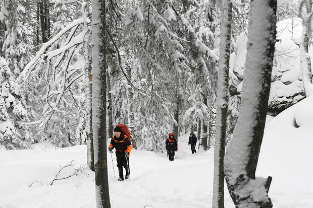 Тайник с деньгами, скрытые расщелины и ни одной зацепки. 44 дня ищут пропавшую в тайге семью россиян. Что могло с ними случиться?