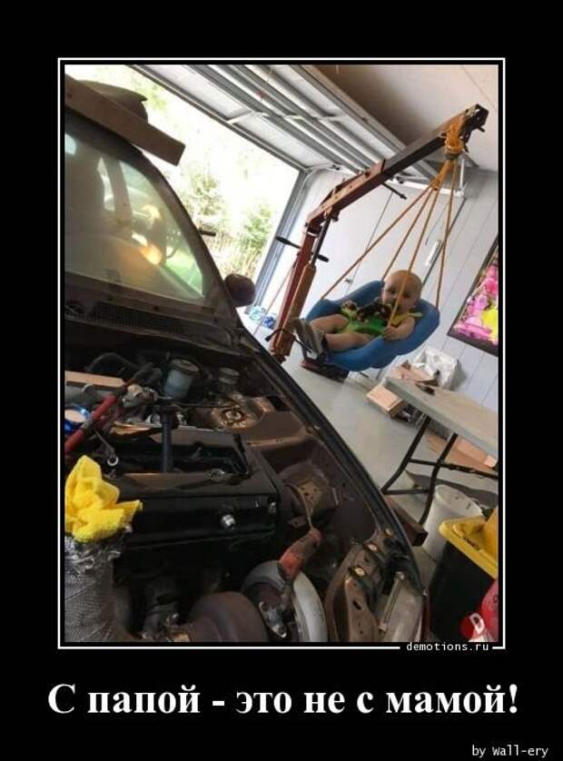 Демотиваторы дня (11 шт)