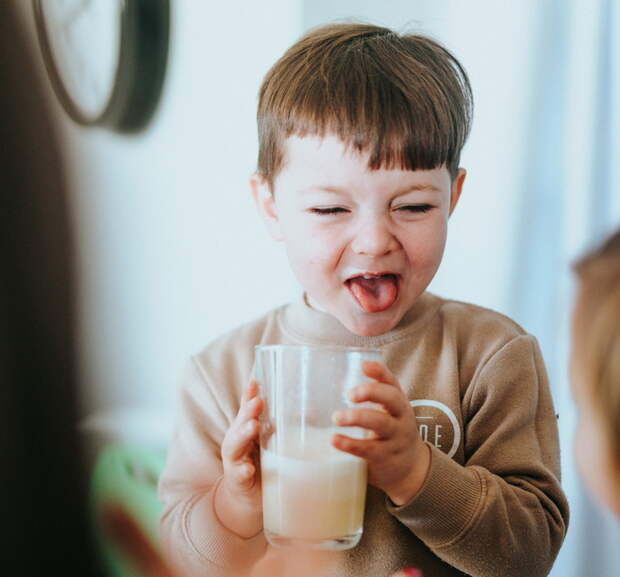 Голод и болезни могли приучить европейцев к молоку
