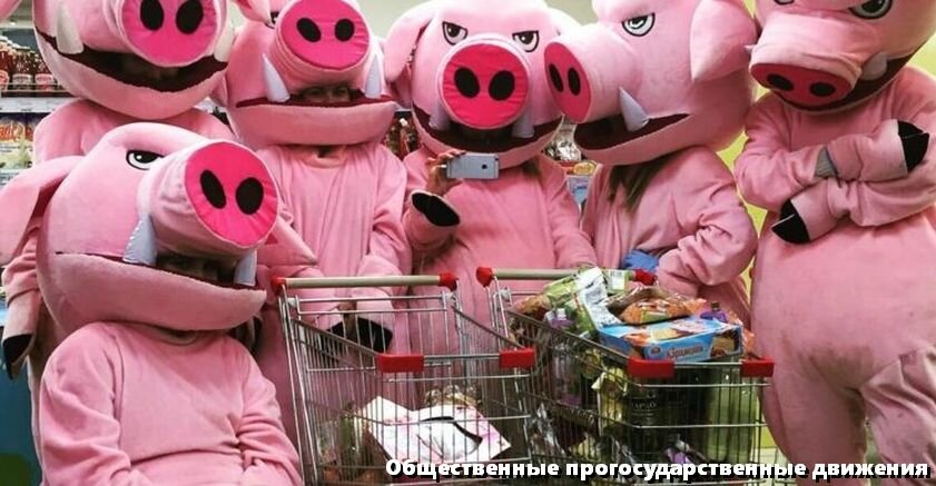 Свиньи за работой. Отрабатывают гранты.