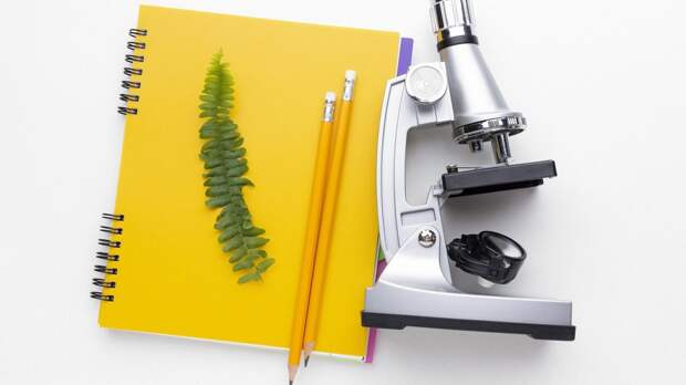 Подготовка к ОГЭ по биологии в 2026 году: структура экзамена и лайфхаки от эксперта