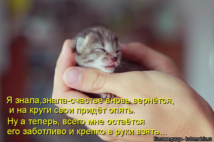 Котоматрица: Я знала,знала-счастье вновь вернётся,  и на круги свои придёт опять. Ну а теперь, всего мне остаётся его заботливо и крепко в руки взять...