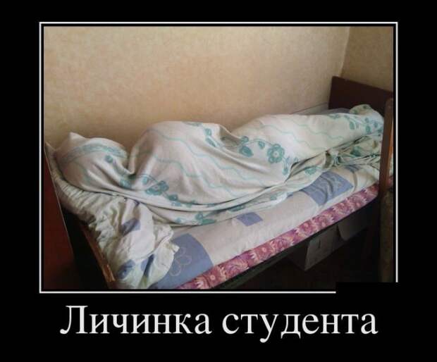 Демотиваторы демотиваторы, прикол, юмор