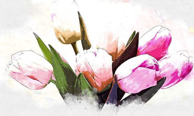 В Орле мимозу продают по 1850 рублей за килограмм