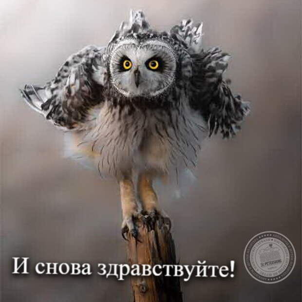 И снова злравствуйте