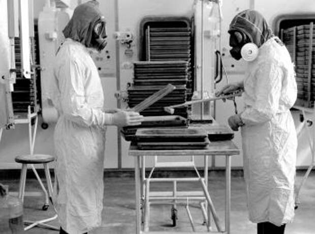 Эпидемия сибирской язвы в СССР: что случилось в 1979 году