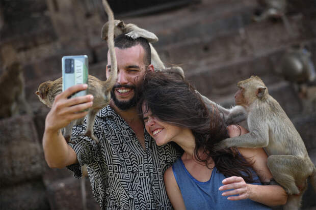 Россиянам за границей дали советы по защите от оспы обезьян