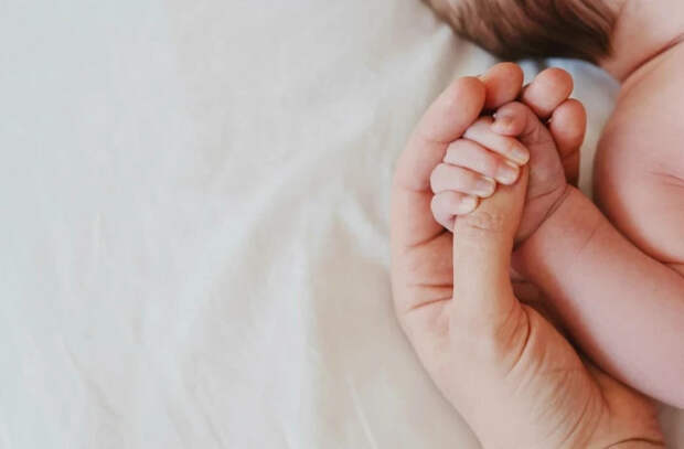 Китайские миллиардеры заводят десятки детей в США, используя услуги суррогатных матерей