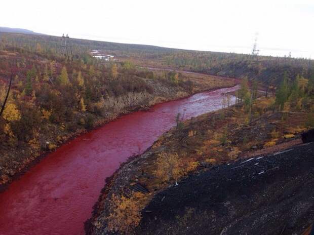 Река в Норильске стала багровой норильск, река, факты, цвет крови