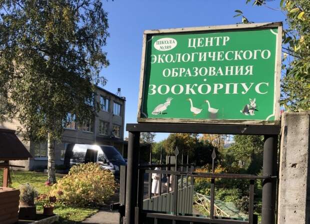 Губернатор Петербурга побывал в уникальном образовательном учреждении для детей