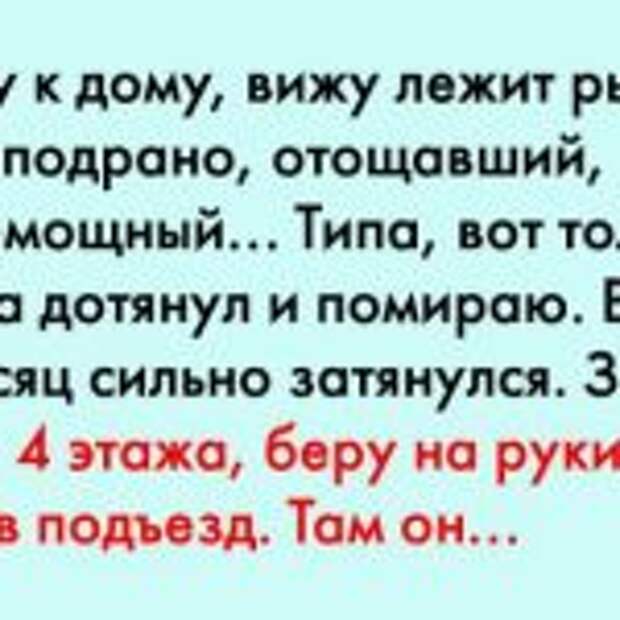 Подхожу к дому, вижу лежит рыжий кот. Ухо подрано, отощавший, на вид…