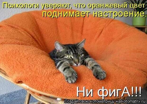 Мысли вслух :)