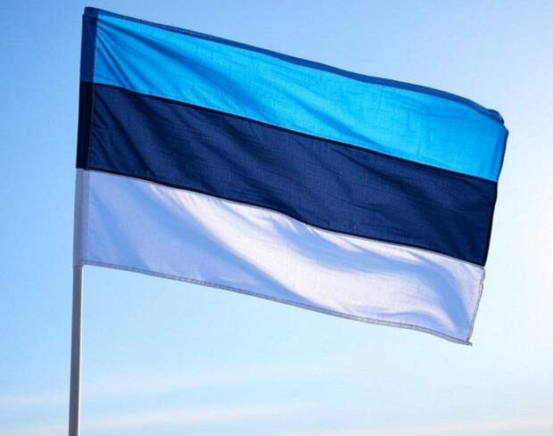 В Эстонии опровергли заявления о якобы намерении РФ напасть на Прибалтику