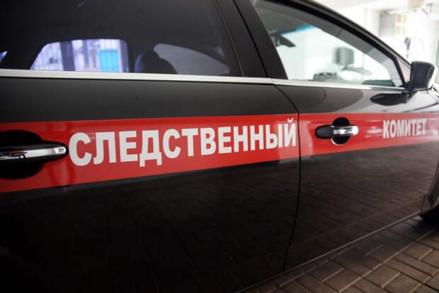 Бастрыкин поставил на контроль расследование изгнасилования 12-летней девочки сверстниками Бастрыкин поставил на контроль расследование изгнасилования 12-летней девочки сверстниками