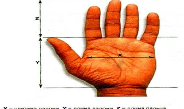 106266001_34830289_info_t_80_hirotypemeter