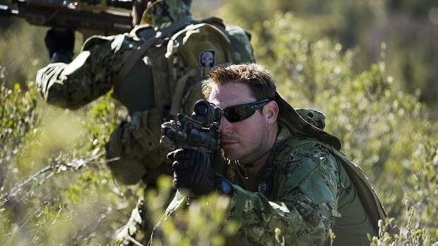 "Трусость и бесхарактерность": эксперт раскрыл тайну "морских котиков" США