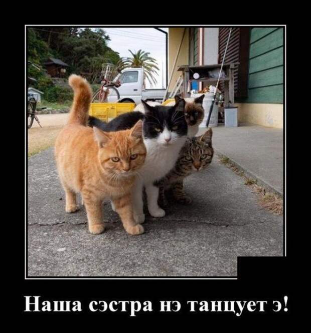 demotivatory-demotivator-smeshnye-demotivatory-demotivator-so-smyslom