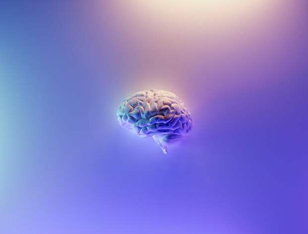 Тест: какое полушарие мозга влияет на ваше поведение?