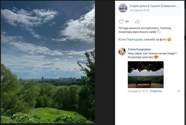 Фото дня: небо над Тушино