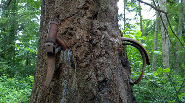 Этому велосипеду сейчас около 60 лет. Этому велосипеду сейчас около 60 лет.