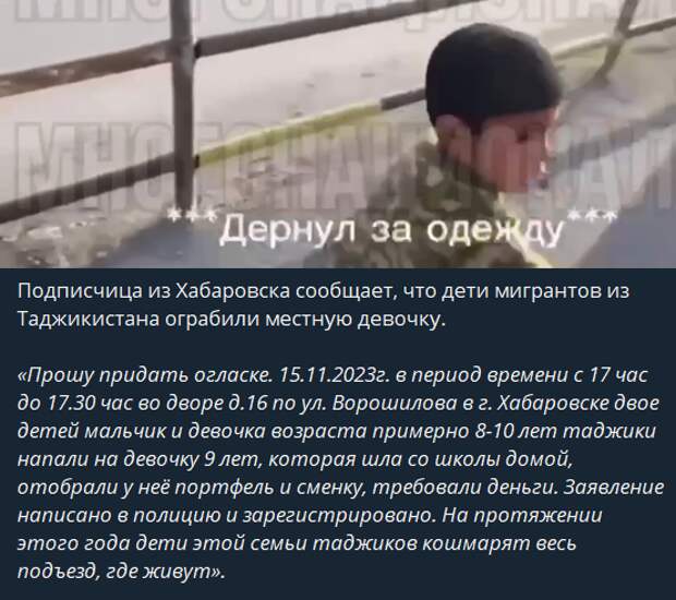 Шокирующий Инцидент: Нападение на Местную Девочку  В Хабаровске разразилась громкая история, ставшая предметом общественного внимания.-2