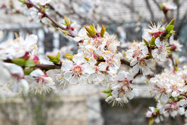 В апреле в центре России ожидается мало дождей и много солнца