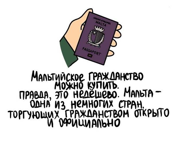 Интересные короткие факты на все случаи жизни