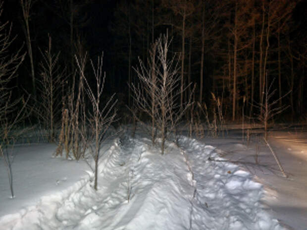В Хабаровском крае направлено в суд уголовное дело о незаконной рубке лесных насаждений с общей суммой ущерба порядка 8,5 млн рублей