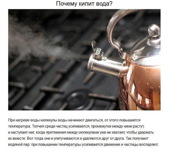 Ответы на детские вопросы, от которых «взрывается» мозг!