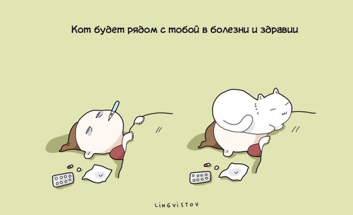 Преимущества жизни с котом