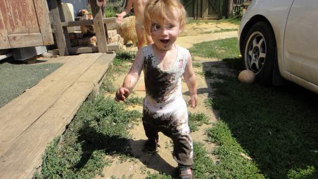 kartinok-veselyh-interesnyh-kartinki-smeshnye-kartinki-fotoprikoly kartinok-veselyh-interesnyh-kartinki-smeshnye-kartinki-fotoprikoly