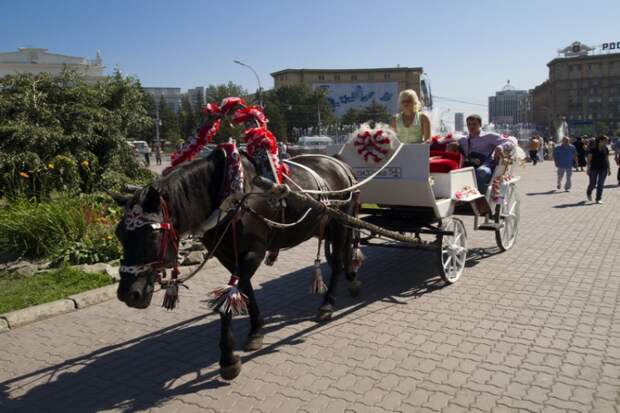 Жених в 85 лет вступил в брак с 80-летней невестой в Новосибирске