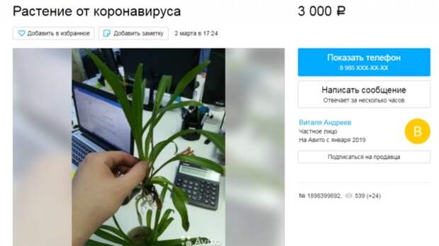 www.vsyako.net