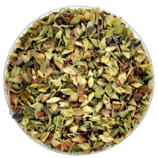 oregano-dushica-sp108-500x500-600x600