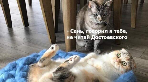 Смешные картинки про Достоевского, понятные только тем, кто любит литературу и чтение