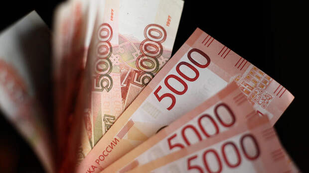 В Общественной палате предложили увеличить размер материнского капитала​